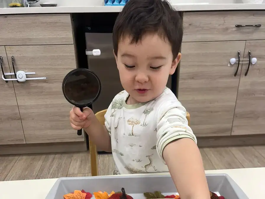 Toddler reaching into an autumn sensory tray while holding a magnifying glass at Mommy Goose Richmond.